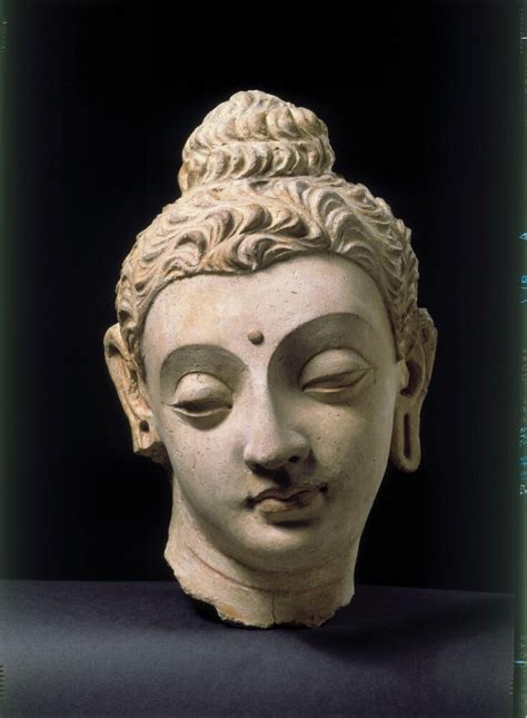 Buddha Head Pictures