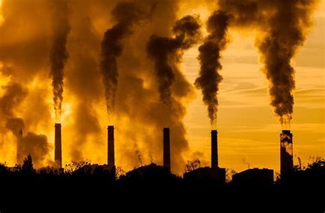 The Link Between Air Pollution and Lung Cancer | Patient Advice | US News