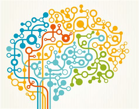 Susceptibility mapping of brain blood oxygenation and brain network connectivity