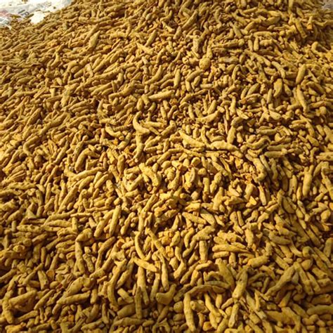 Dry Yellow Turmeric Finger Grade: Cooking Spices at Best Price in ...