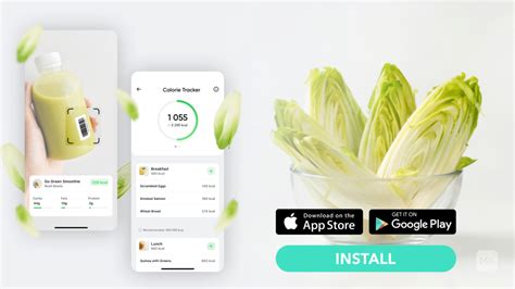 Endive Benefits, Nutrition Facts, Side Effects, And More - BetterMe