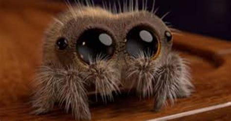 Lucas the Spider new video | Lucas the spider, Cute animal drawings kawaii, Cute fantasy creatures