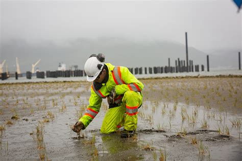 Environmental Protection | LNG Canada