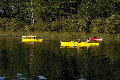 Big Manistee River | Manistee County Tourism - Manistee, Michigan