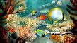 Fish 3D Screensavers - Tropical Fish