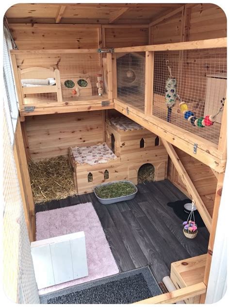 inside a shed for more floor space? Rabbit Enclosure, Enclosures ...