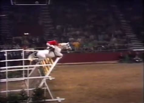 Better. Faster. Stronger. World Record Heights in Show Jumping - The ...