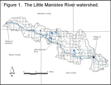 MDNR Fishery Resource Report – Little Manistee Watershed Conservation Council