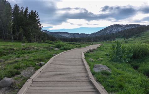 Hiking Tahoe Meadows (via Mount Rose HWY/SR 431 near Incline Village, NV) | Tahoe Trail Guide