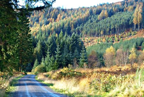 Galloway Forest Park, Dumfries and Galloway | Places in scotland, Dumfries, Forest park