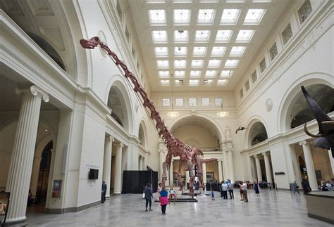 5 Chicago museum sleepovers for knowledge-hungry kids | Choose Chicago