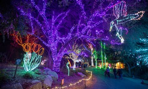 ZooLights in - Phoenix, AZ | Groupon