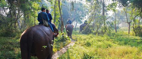 Elephants, Glamping and an Adventure of a Lifetime at the Four Seasons ...