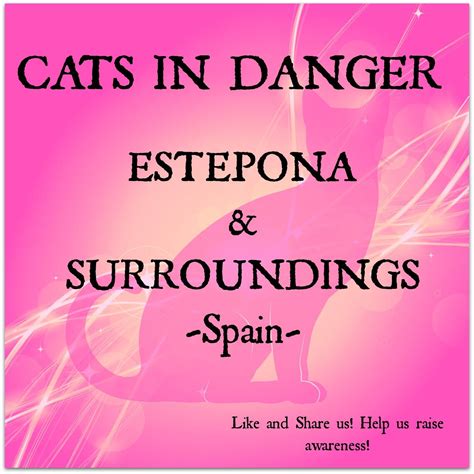 Cats in Danger, in Estepona & surroundings -Spain | Estepona