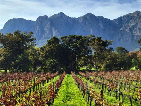 South Africa Itinerary – Best 2-Week Road Trip in South Africa | Explore With Wine