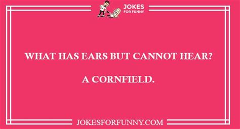 Best Reddit Jokes that Will Make You Laugh - Have a Funny Day