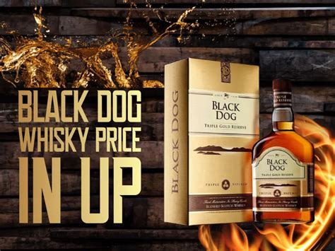 Black Dog Scotch Whisky Price in Uttar Pradesh (UP)