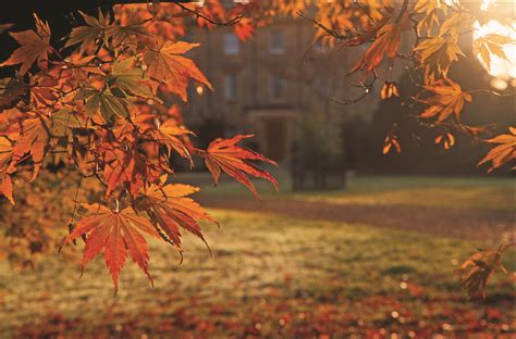 Exbury Gardens - Autumn | Flickr