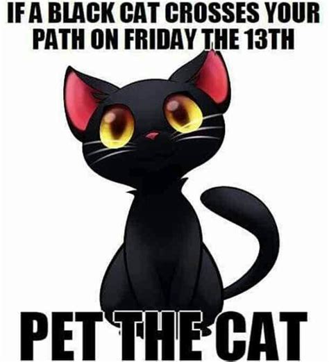 Pin by rhonda bradshaw on cats | Friday the 13th memes, Happy friday the 13th, Funny friday memes