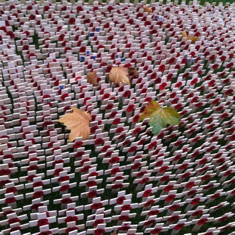 Remembrance Day in London. Field of crosses at Westminster Abbey. | Westminster abbey ...