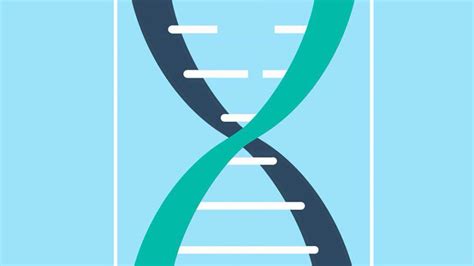 Joint study on cfDNA provides insight into aging - The Brown Daily Herald