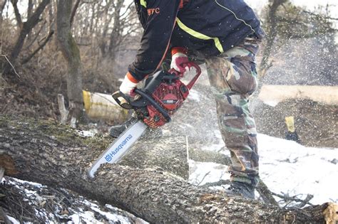 Your Guide to the Best Electric Saws for Cutting Tree Branches ...