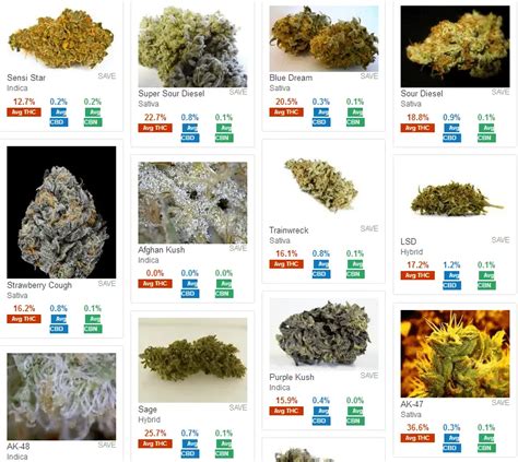 Super Potent Marijuana Strains with Awesome Names