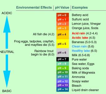 Ph Scale Acids And Bases