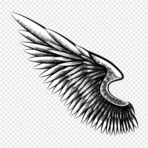 Drawings Of Eagle Wings