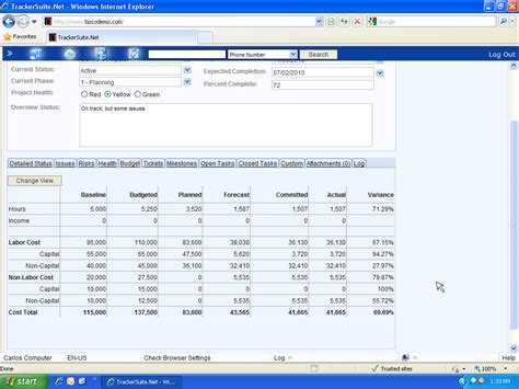 Reviewing Project Budgets within Status Reports