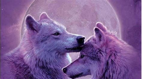 Purple Wolf Wallpapers - Wallpaper Cave