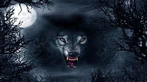 Evil Wolf Eyes Wallpapers - Top Free Evil Wolf Eyes Backgrounds ...