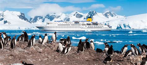 Top Antarctica Tours | Flexible Antarctica Cruises, Trips & Flights