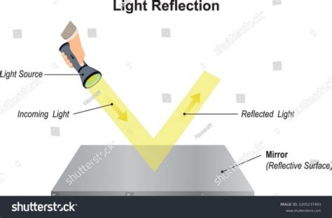 Light Reflection infographic diagram. An example - Royalty Free Stock Vector 2205237493 - Avopix.com