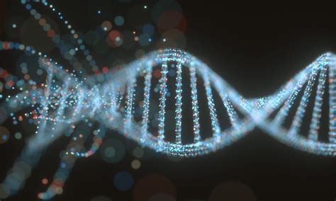 Synthetic DNA in Drug Discovery and Development