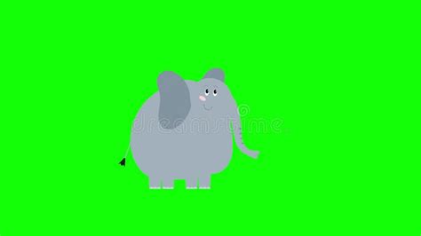 Elephant Run Cycle Cartoon on Isolated White Background Stock Footage - Video of cycle, cute ...