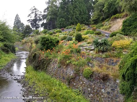 Rock Garden-Lindsay Creek-Dunedin Botanic Garden | Janet Davis Explores Colour