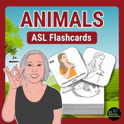 Support ASL Resources - ASL Teaching Resources