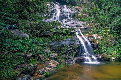 Forêt privée de Tijuca, visite privée du Christ Rédempteur 2024 - Rio ...