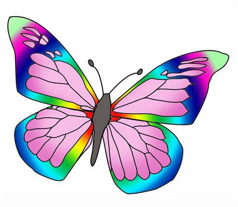 rainbow colore butterfly