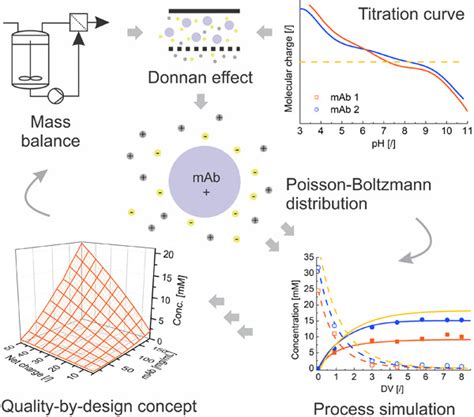 Designing scalable ultrafiltration/diafiltration process of monoclonal ...