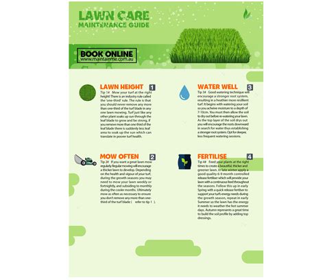 Your ultimate guide to lawn care | Maintain Me