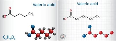 Mumbai Chemical: The Vanguard of Valeric Acid in India | Mumbai Chemical