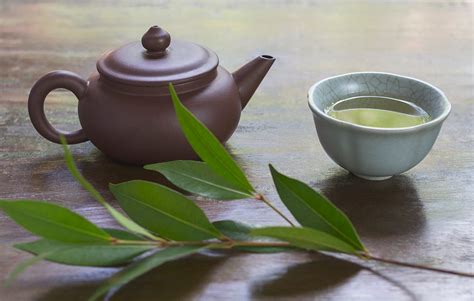 Green Tea Recipes | Prevention