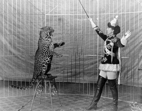 File:Female animal trainer and leopard, c1906.jpg - Wikimedia Commons