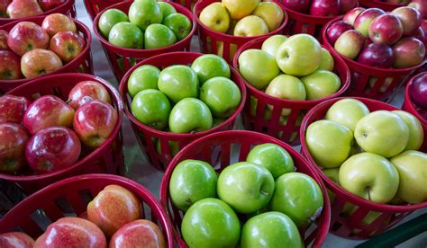 The Best Apple Fruit Varieties You Haven't Tried Yet!