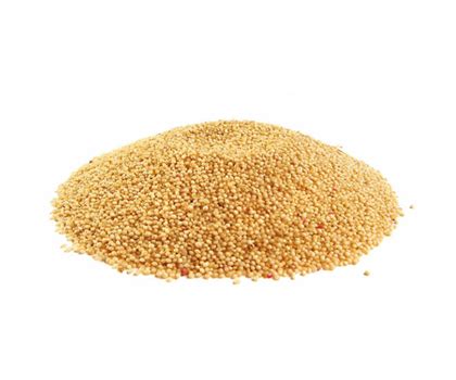 Tellspecopedia » Amaranth grain