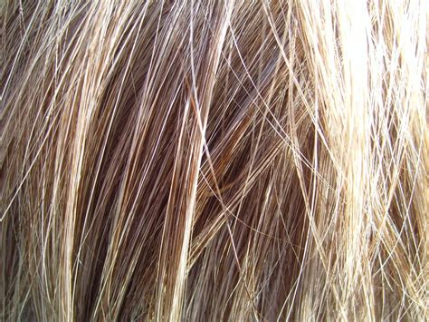 File:Blonde hair detailed.jpg - Wikimedia Commons