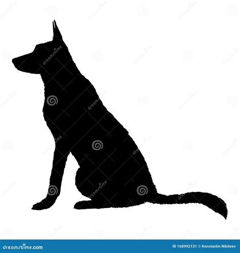 Vector Silhouette Sitting German Shepherd Dog Stock Vector - Illustration of laika, isolated ...