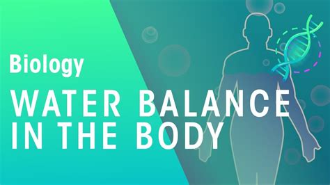 Water balance in the body | Physiology | Biology | FuseSchool - YouTube